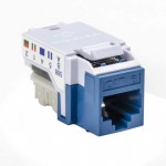 RJ45FC6-BLU Picture