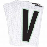 3000-V Picture