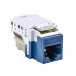 RJ45FC5E-BLU Picture