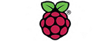 Raspberry Pi LOGO